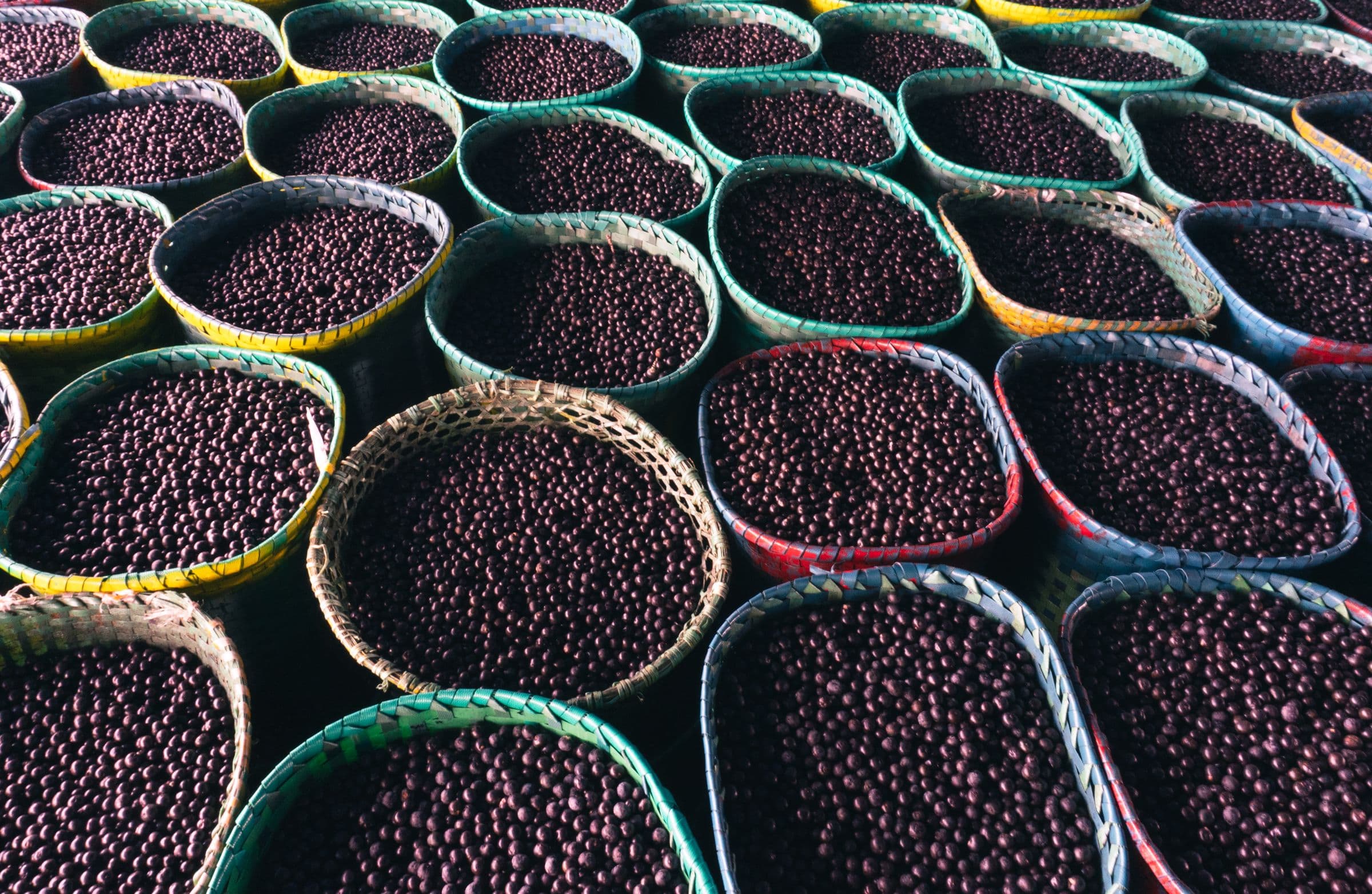 Canastas de açaí recién cosechado en el mercado de Belém
